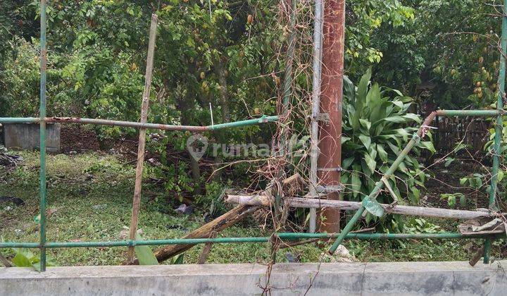 Tanah subur tanaman jambu  16