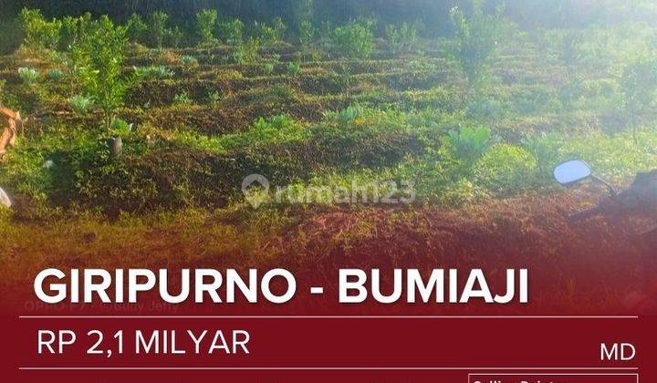 Tanah subur cocok untuk perkebunan,bisa di bangun rumah  1