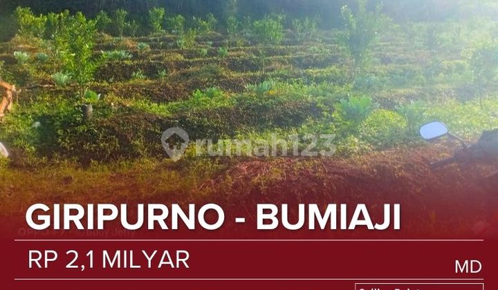 Tanah Subur , Tanah Lahan Kuning Bisa Dibangun Rumah