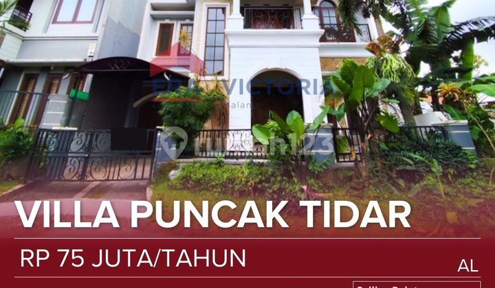 Luxury House Ready to Live In, Safe, Peaceful, and Comfortable Luxury House Ready to Live In, Safe, Peaceful, and Comfortable