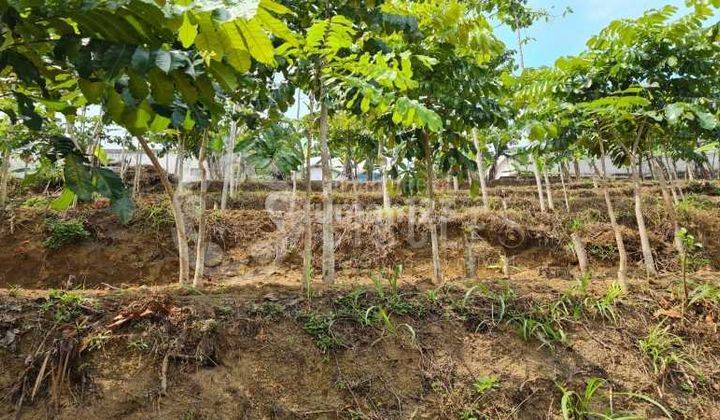 Dijual Tanah di Raya Lembang, Bandung Barat SHM 2