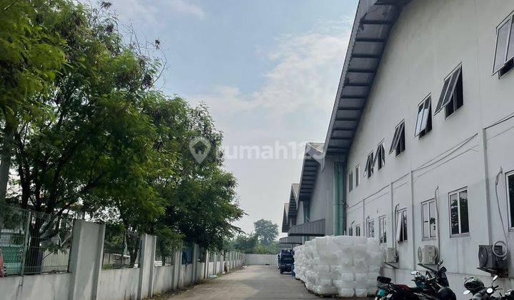 Gudang di Bogor 5000 M2 Loading Dock Kondisi Rapi Siap Pakai 2