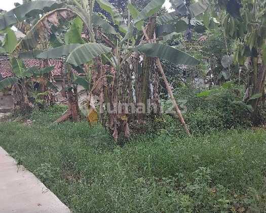 Tanah Dijual Cepat Degan Harga Miring di Bogor Tanah Dijual Cepat Degan Harga Miring di Bogor