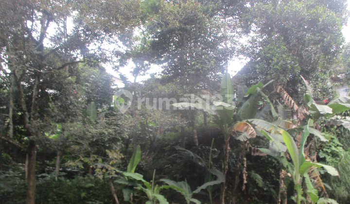 Land for Sale at Low Price in Bogor Regency with SHM Land for Sale at Low Price in Bogor Regency with SHM