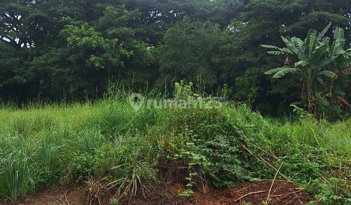 Tanah di Komplek Royal Sumatera Cluster Ruby, Medan 2