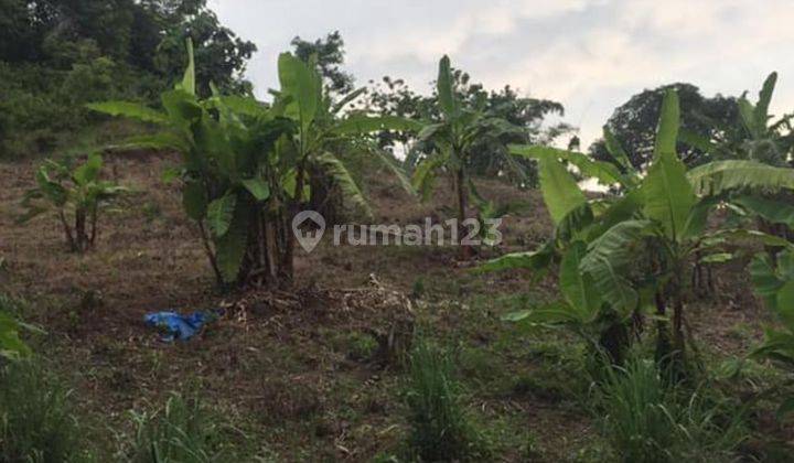 Tanah Kebun Yang Berada Di Daerah Puncak 1