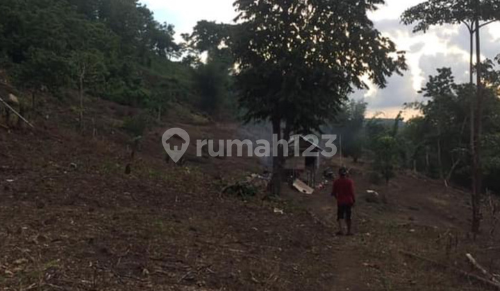 Tanah Kebun Yang Berada Di Daerah Puncak 2