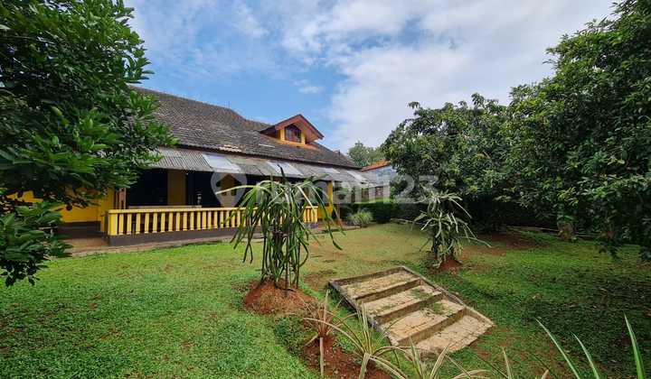 Dijual Cepat Rumah Tua Dengan Halaman Luas Sekali.properti di Kebagusan, Jakarta Selatan.