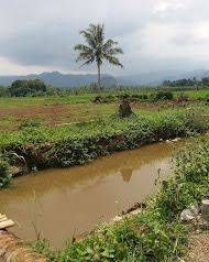 Dijual Lahan di Desa Muara Cibetung ciseeng Parung Bogor. 2