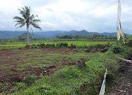 Dijual Lahan di Desa Muara Cibetung ciseeng Parung Bogor. 1