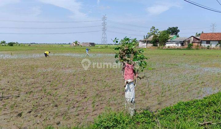 Tanah di Perbatasan Tambun Utara , Bekasi SHM 10 ha 2