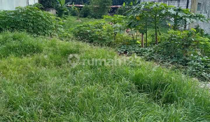 11KTR - Tanah di Jalan Raya Pekapuran - Tapos, Depok