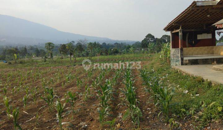 Dijual Tanah di Bogor Jawa Barat 1