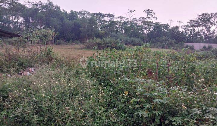 Dijual Tanah Murah di Tigaraksa Kabupaten Tangerang 2