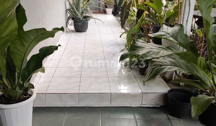 Jual Rumah Tua Hitung Tanah Area Jati Pulo