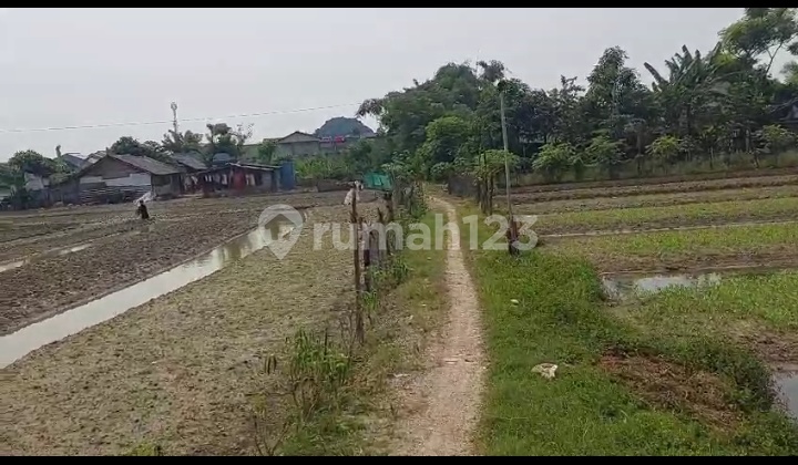Lahan Strategis Buaran Indah 2 Akses Kontainer Lt 8.7 Ha Tangerang Lahan Strategis Buaran Indah 2 Akses Kontainer Lt 8.7 Ha Tangerang