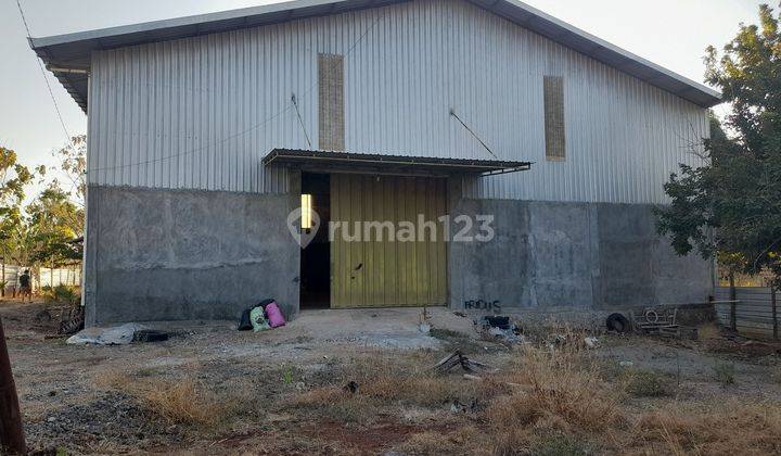 Gudang Dekat Bandara Eltari Kontrakan 2800 M Shm Bagus Sangat Strategis 1