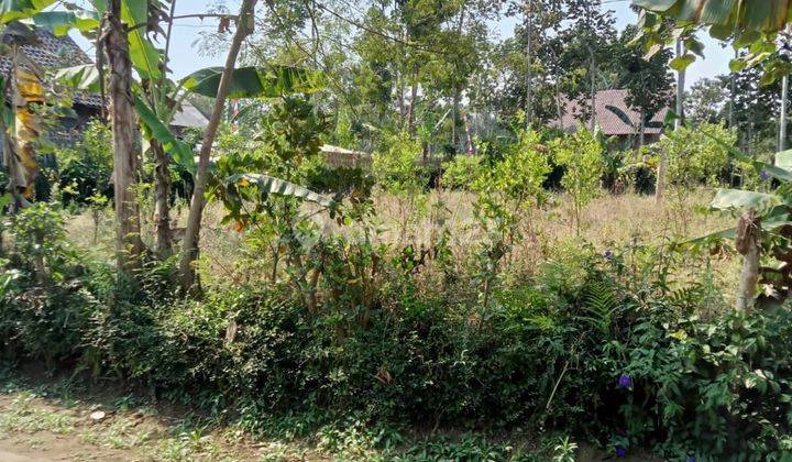 DIJUAL CEPAT BU POLL TANAH SUKOANYAR WAJAK KABUPATEN MALANG 1