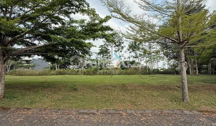 Tanah Kavling Di Cluster Palm Valley Selangkah Kampus Binus Araya