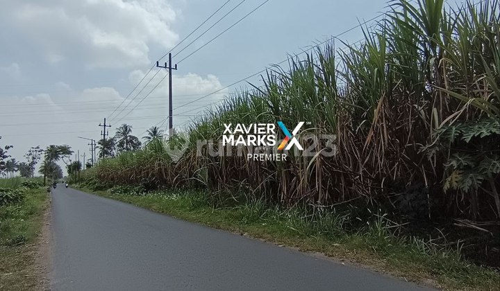 Tanah Luas Cocok Buat Gudang Di Banjarasri Bululawang