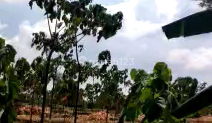 DIJUAL TANAH 0 JALAN PROPINSI PASURUAN-MALANG
 2