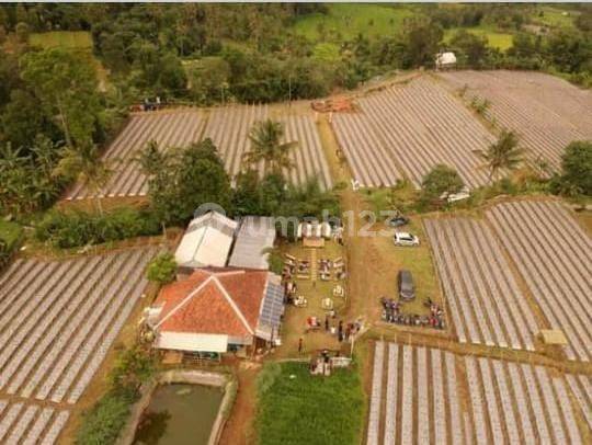 Dijual Tanah di Waneyasa 1,6 hectare SHM Purwakarta 1