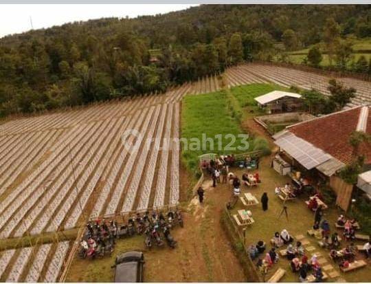 Dijual Tanah di Waneyasa 1,6 hectare SHM Purwakarta 2