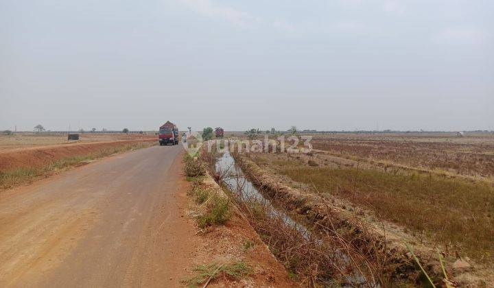 Lahan 10 Ha Lokasi Dekat Pelabuhan Patimban Subang Jawa Barat 1