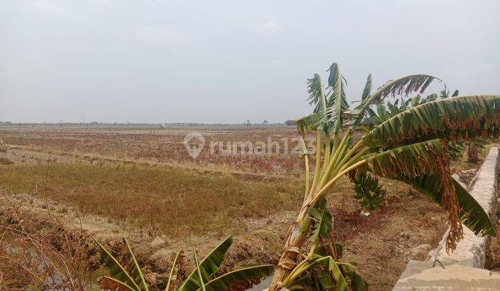 Lahan 10 Ha Lokasi Dekat Pelabuhan Patimban Subang Jawa Barat 2