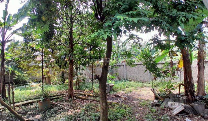 Dijual Tanah SHM 1001m  gratis 2 rumah, 4 ruko sederhana Parung 1