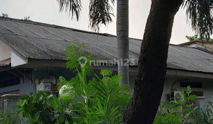 Rumah Asri di Pejaten Barat Pasarminggu. Istimewa Dan Murah