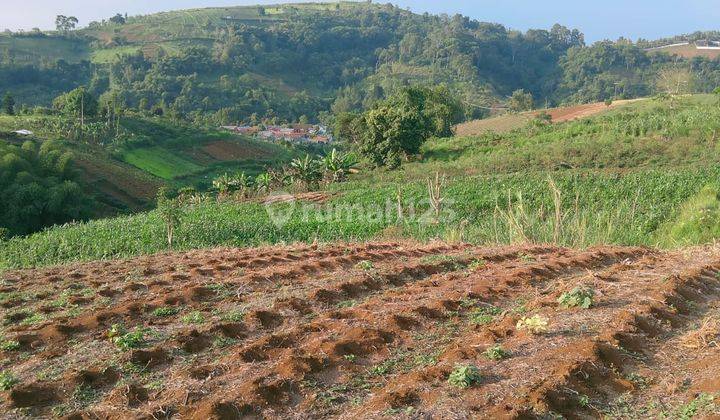 Dijual Tanah Cantik Di Sukaresmi, Cianjur 2