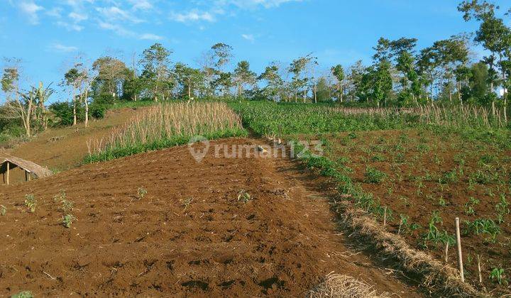 Dijual Tanah Cantik Di Sukaresmi, Cianjur 1