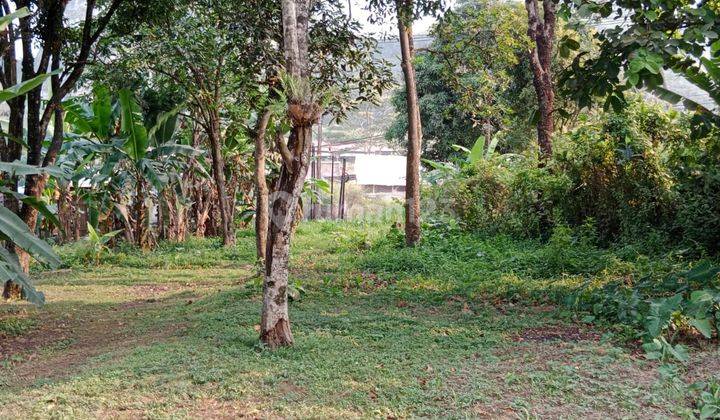 Jual cepat!!! Tahan padat (lahan perkebunan) di Mainroad padalarang cocok untuk SPBU /hotel & restaurant harga dibawah pasar di Dekat danau ciburuy 38600 m² SHM 5