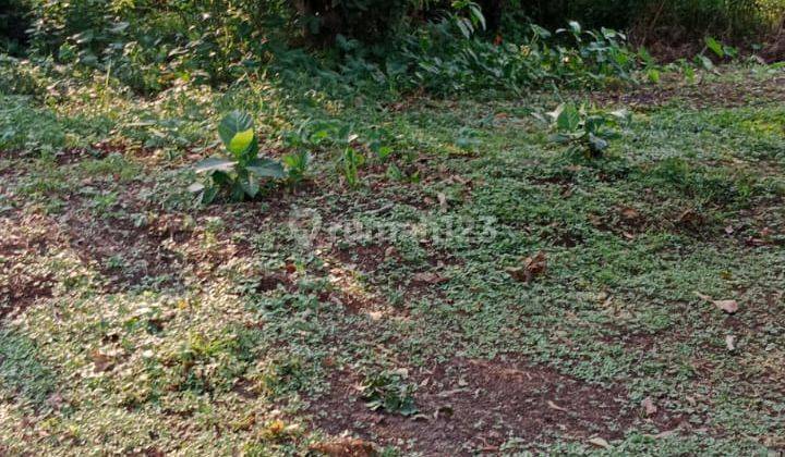 Jual cepat!!! Tahan padat (lahan perkebunan) di Mainroad padalarang cocok untuk SPBU /hotel & restaurant harga dibawah pasar di Dekat danau ciburuy 38600 m² SHM 20