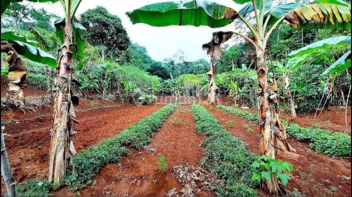 DIJUAL Tanah di Cikalong wetan bandung barat 1,7 hectare 2