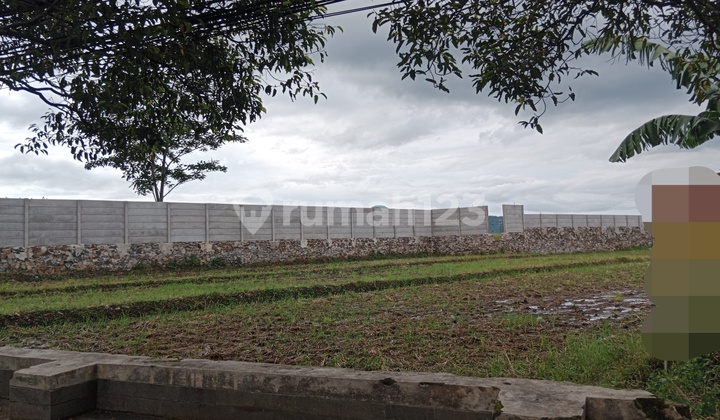 Dijual Cepat Tanah Sawah di Mainroad Soreang Lokasi Strategis Dekat Hotel Sutan Raja Soreang Bandung SHM
