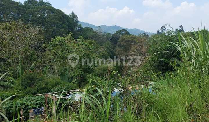 For Quick Sale: Dense Commercial Land in Maribaya, Lembang, Bandung. Ideal for Villas, 1km Close to Lembang Main Road. AJB.