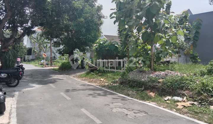 For Quick Sale: Bulusan Utara Land, Tembalang, Semarang 1