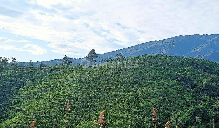 DI JUAL TANAH & AGROWISATA BESERTA ISINYA 3