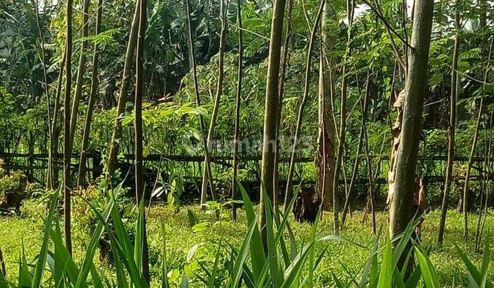 Tanah 3KM dari Pasar Bululawang 1