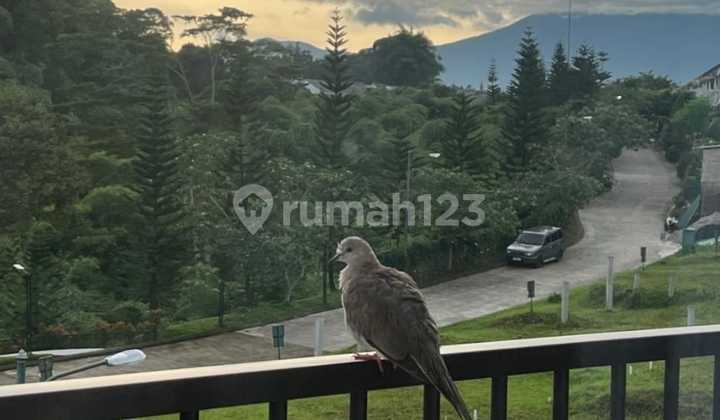 Dijual Rumah Bagus Dalam Cluster Cendana Bogor