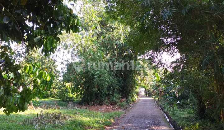 Lokasi Yg Tenang ,Nyaman di Kaki Gunung Salak, Dekat dengan Tempat Wisata