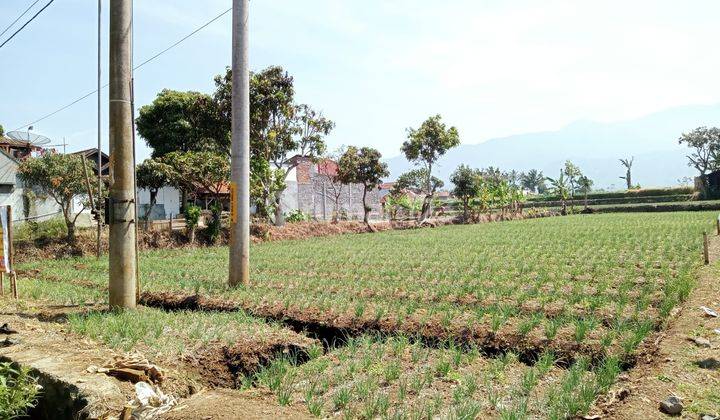 Dijual Cepat Tanah Siap Bangun Murah Di Mainroad Garut 2