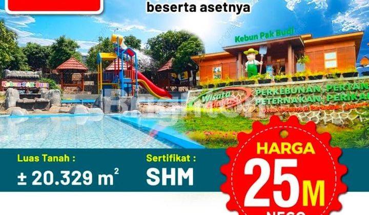 VILLA, TEMPAT WISATA & RESORT KEBUN PAK BUDI PASURUAN 1