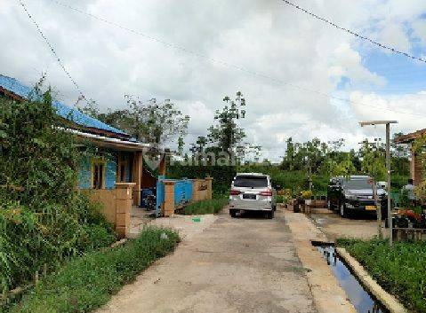 Lelang Rumah 3