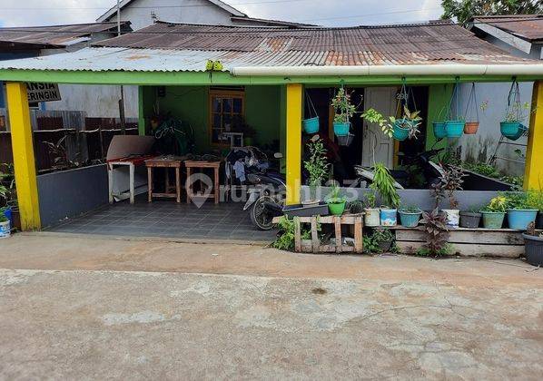 Lelang Rumah 1