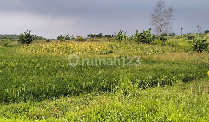 Tanah Kawasan Industri Cocok Untuk Gudang Pabrik Kawarang Tanah Kawasan Industri Cocok Untuk Gudang Pabrik Kawarang