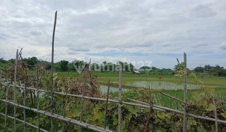 Karawang Industrial Estate Land