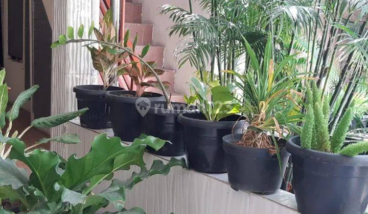 Jual Cepat Tempat Usaha Komersil Rawamangun Jakarta 5